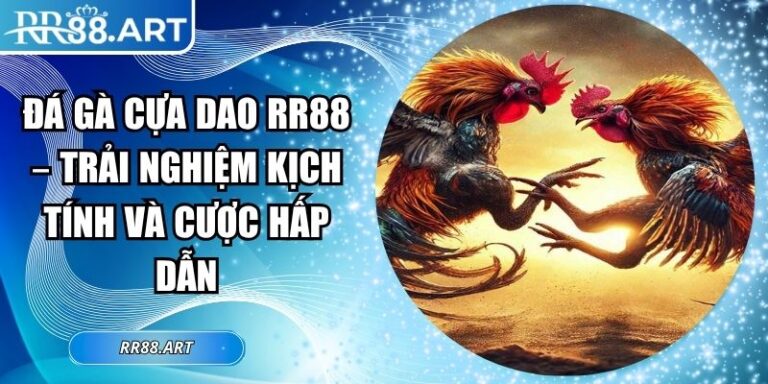 Đá Gà Cựa Dao RR88 – Trải Nghiệm Kịch Tính Và Cược Hấp Dẫn 4 Đá gà cựa dao RR88