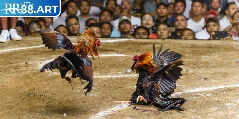 Cách phân định thắng thua