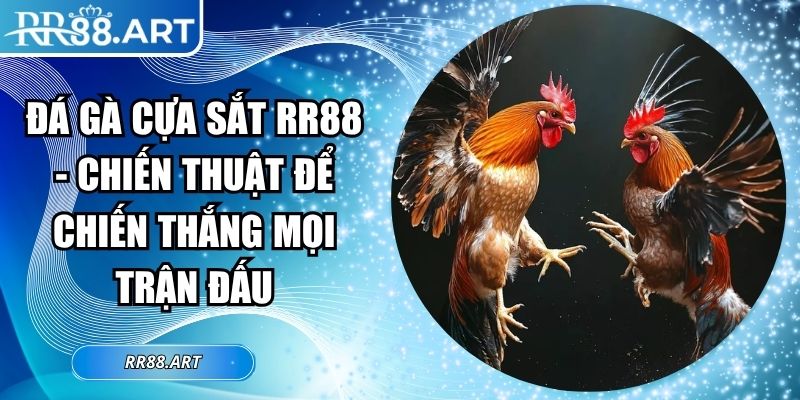 Đá Gà Cựa Sắt RR88 - Chiến Thuật Để Chiến Thắng Mọi Trận Đấu 1 Đá gà cựa sắt RR88