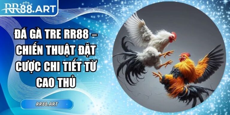 Đá Gà Tre RR88 – Chiến Thuật Đặt Cược Chi Tiết Từ Cao Thủ 2 đá gà tre RR88