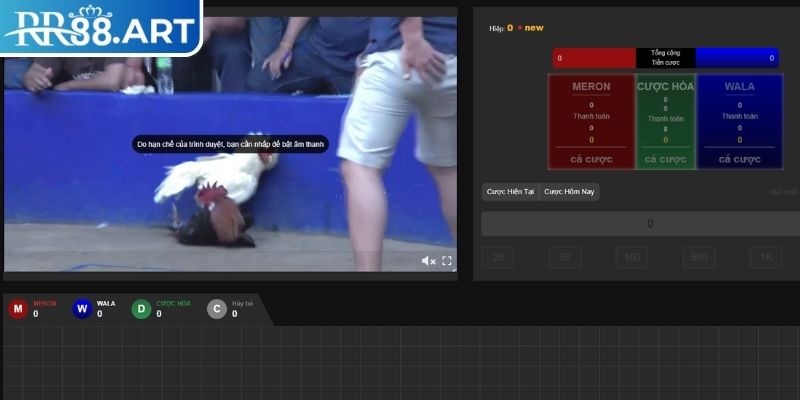 Đá Gà Trực Tiếp RR88 – Tham Gia Cá Cược Mọi Lúc Mọi Nơi 2 Hệ thống bình luận trực tiếp