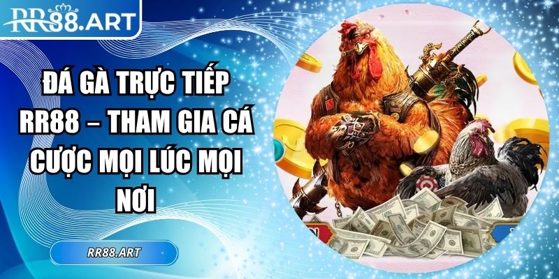 Đá Gà Trực Tiếp RR88 – Tham Gia Cá Cược Mọi Lúc Mọi Nơi 6 Đá gà trực tiếp RR88